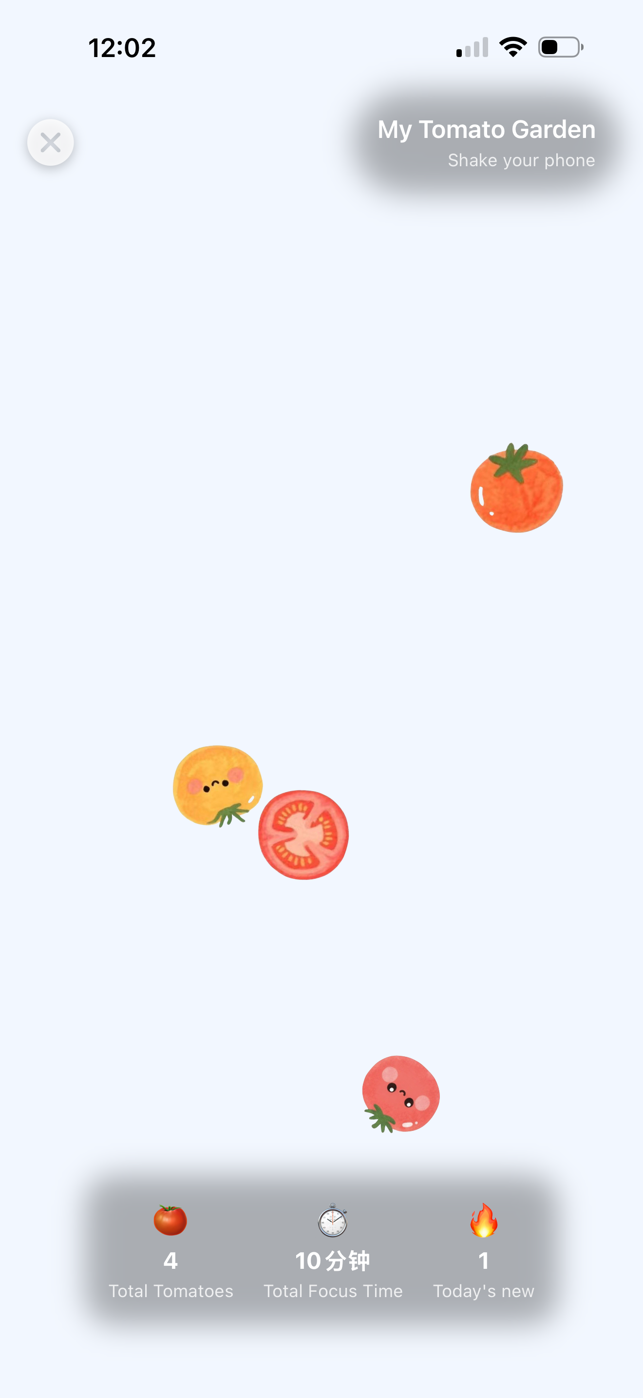 The tomato garden filling up